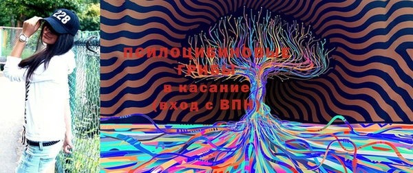 jwh Лиски