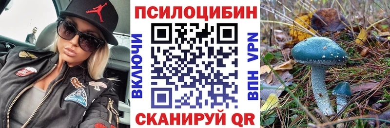 Псилоцибиновые грибы Psilocybine cubensis  Новоалександровск 