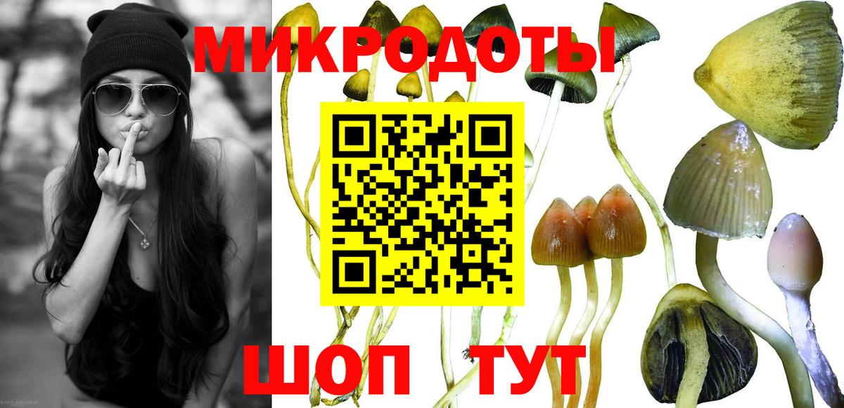 Новоалександровск  Галлюциногенные грибы мухоморы  Вход с VPN 