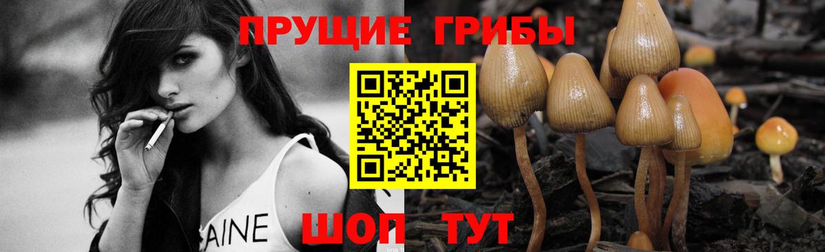 Галлюциногенные грибы прущие грибы Новоалександровск