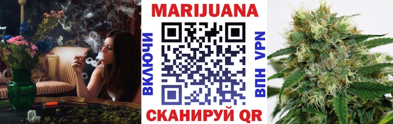 Бошки марихуана семена  Новоалександровск 